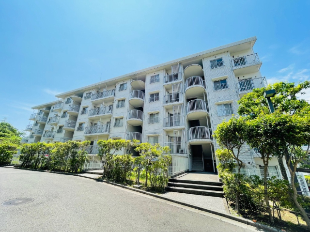 ���C���{���@��D�w�i�o�X14�� �E�q���Y��˒˒�A �k��4���j