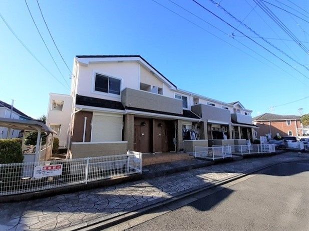 ���͐��@����w�i�k��11���j