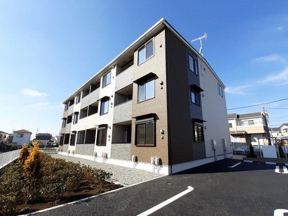 ���͐��@����w�i�k��5���j