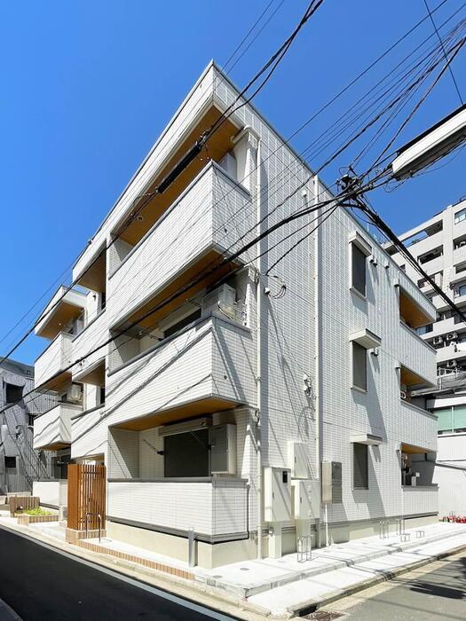 ���l�s�c�n���S�u���[���C���@�㓌���w�i�k��9���j