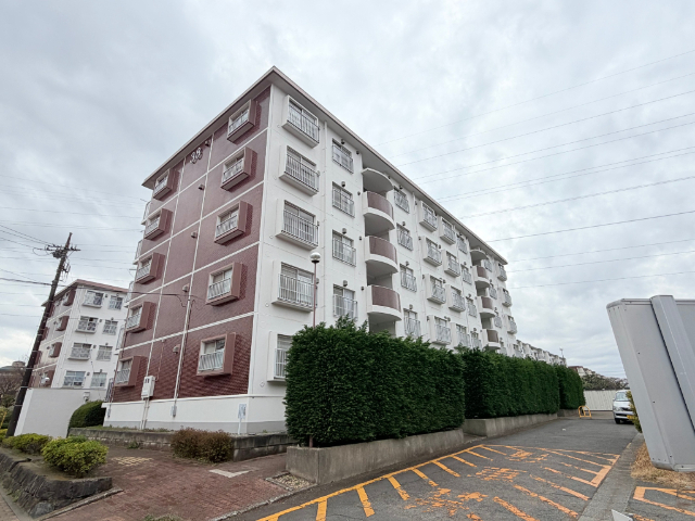 ���͓S�������ݖ���@�퐶��w�i�k��16���j