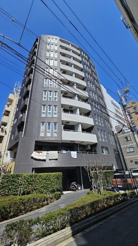 ���C���{���@���l�w�i�k��12���j