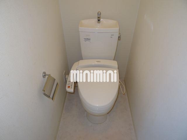 ����5