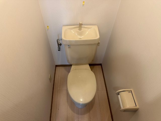 ����5