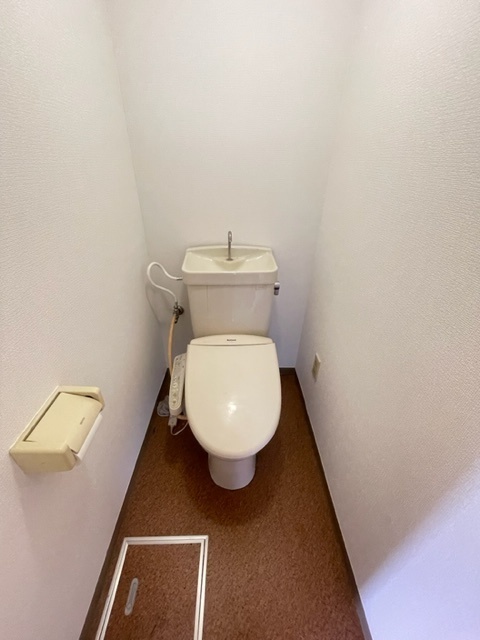 ����5