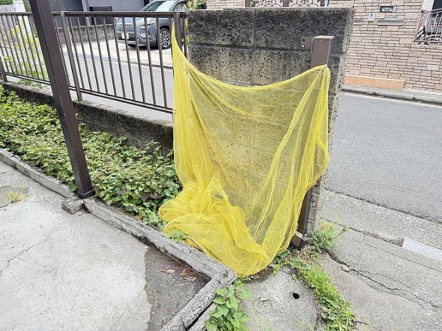内観19