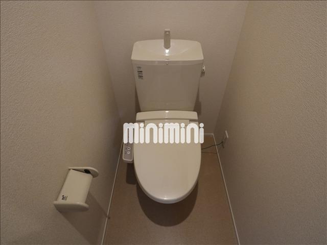 ����5