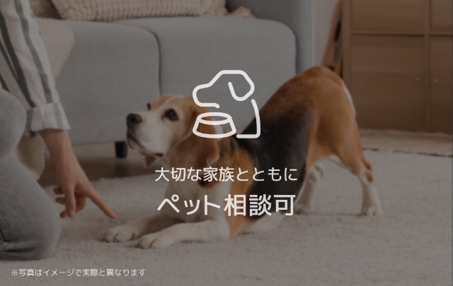 内観2