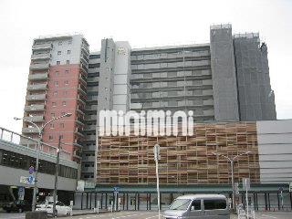 �I���{���@�����w�i�k��23���j