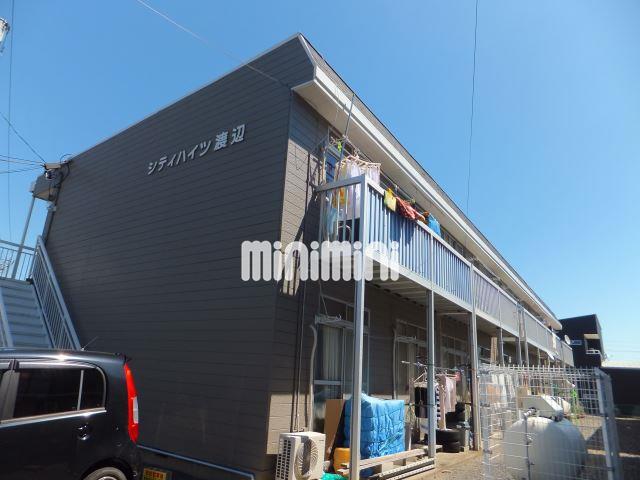 �ɐ��S���@�ʊ_�w�i�k��19���j