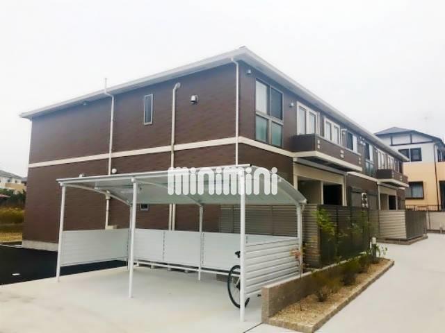 �I�X�X�������ʐ^