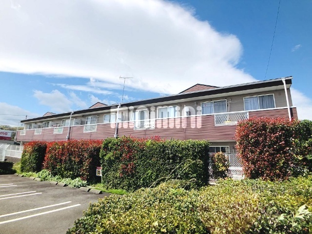 �֐��{���@�T�R�w�i�k��46���j