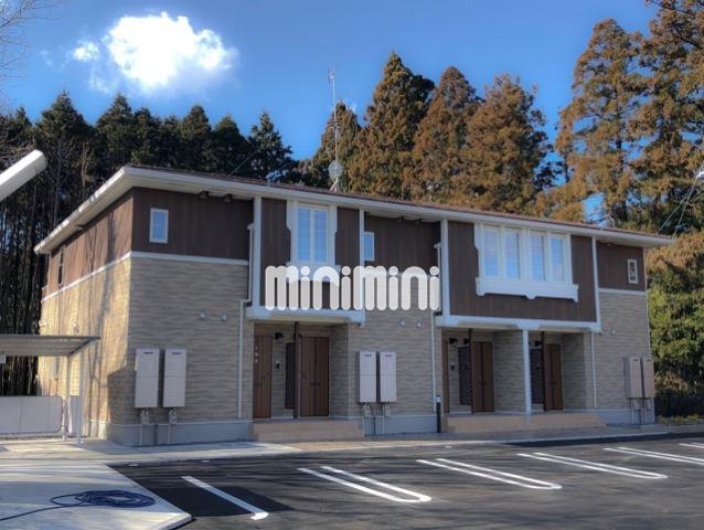 �I�X�X�������ʐ^