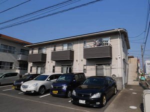 �֐��{���@�x�c�w�i�k��19���j