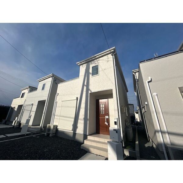 �I�X�X�������ʐ^