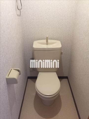 ����5
