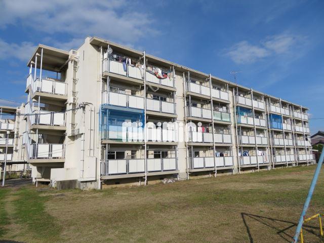 ���C���{���@��ωw�i�k��61���j