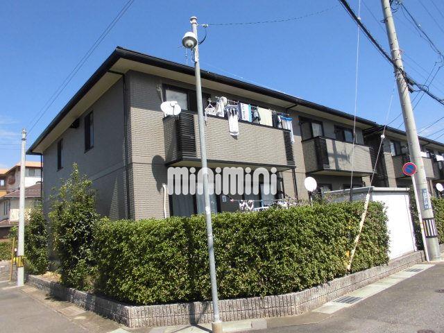 ���S���É��{���@���S�򕌉w�i�o�X18�� �E���ǓV�_��A �k��7���j