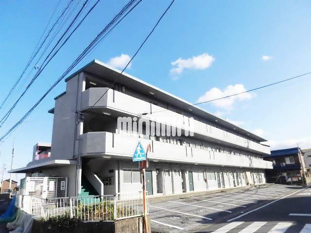 ���C���{���@��_�w�i�k��25���j