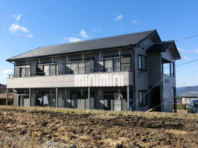 �򕌌����Ð�s�֎q��P�q