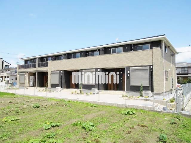 �I�X�X�������ʐ^