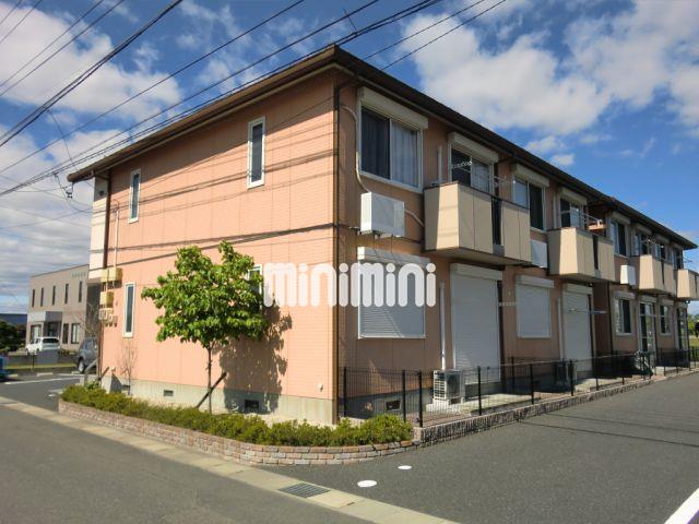 ���S�L�����@�V���w�i�k��19���j�A�������@���w�i�k��19���j