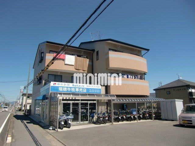 ���C���{���@��ωw�i�k��42���j