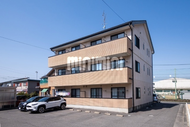 ���C���{���@��ωw�i�k��54���j