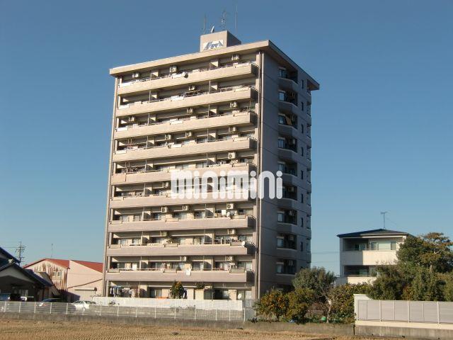 ���C���{���@��ωw�i�k��19���j