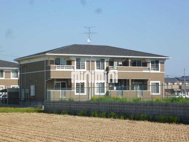 ���S�|�@�E�H�����@�}���w�i�o�X15�� �E�c���A �k��8���j