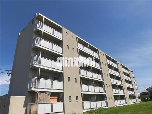 �M���S���@�������򕌉w�i�k��24���j