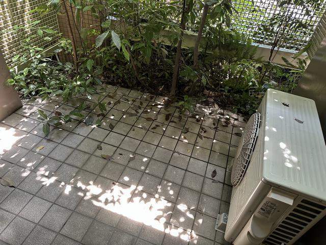 内観6