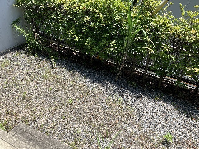 内観9