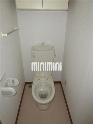 ����5
