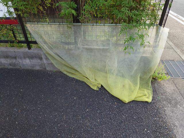 内観19
