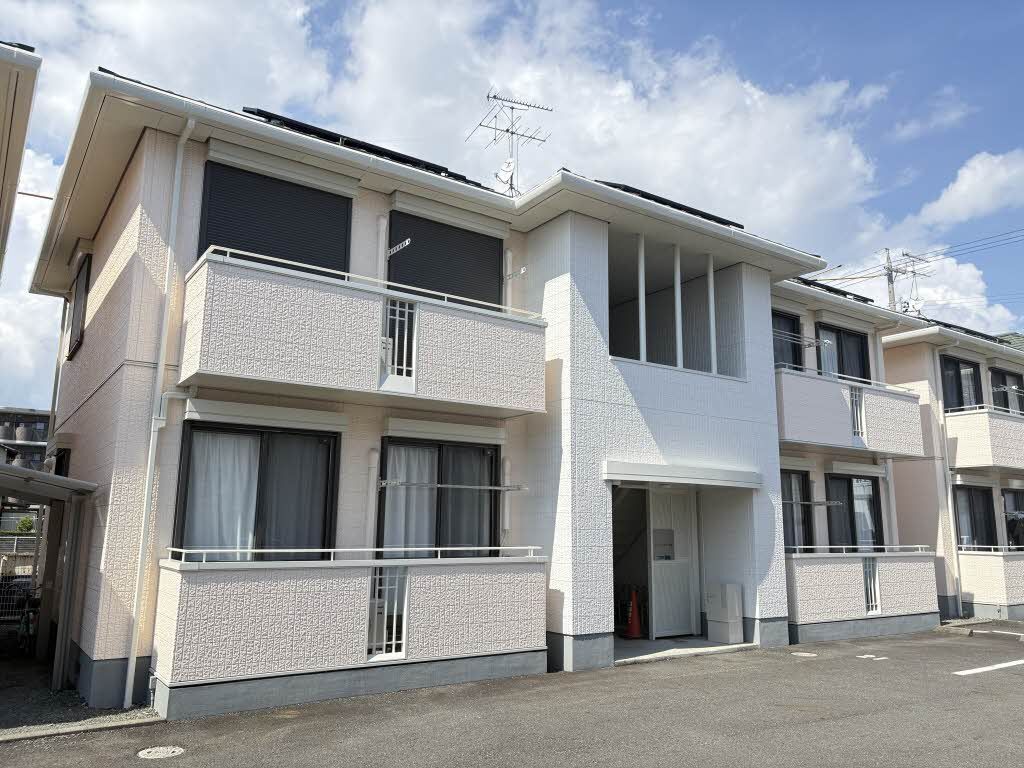 ���C���{���@�É��w�i�o�X20�� �E�o�C�R�[�v�^�E����A �k��4���j