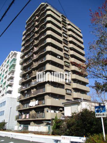 ���B�S���@���B�a�@�w�i�k��10���j