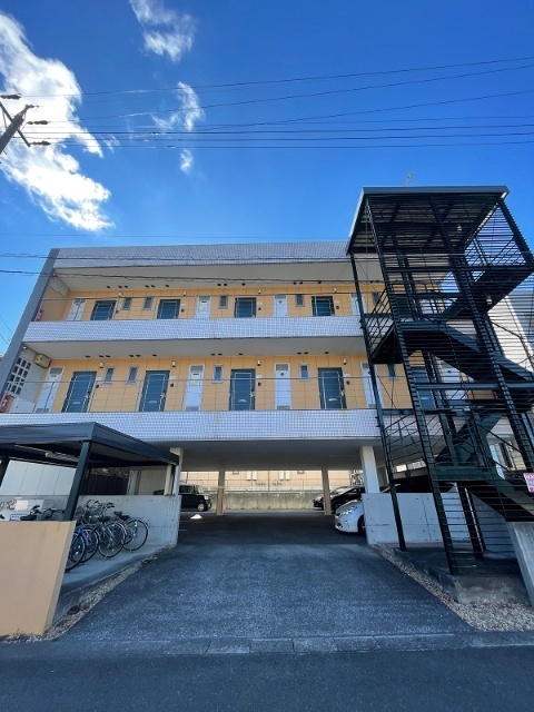 ���B�S���@�����̋{�w�i�k��37���j