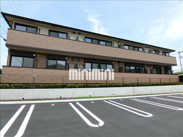 �I�X�X�������ʐ^