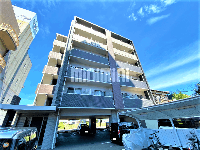 ���C���{���@�x�m�w�i�k��38���j