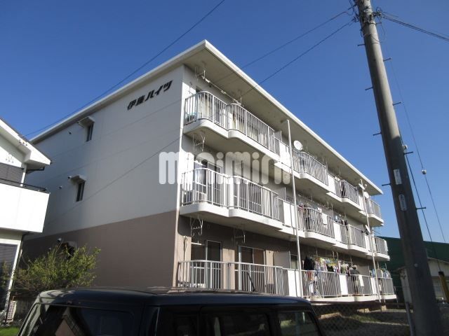 ���C���{���@�l���w�i�o�X29�� �E�i�`�L�c�x�X��A �k��3���j