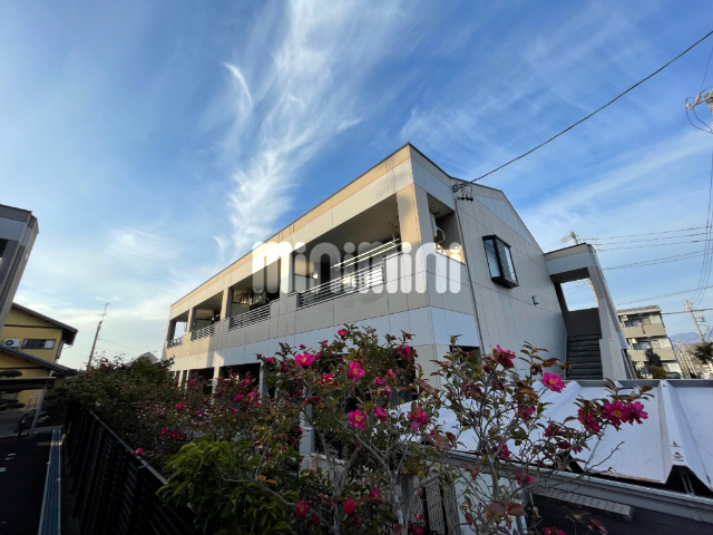 ���C���E�R�z�V�����@�|��w�i�k��25���j