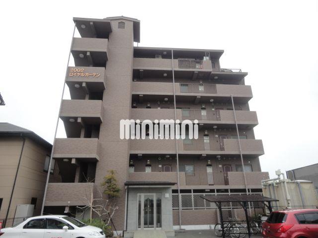 ���C���{���@�O���w�i�o�X22�� �E�H�V�s���A �k��5���j