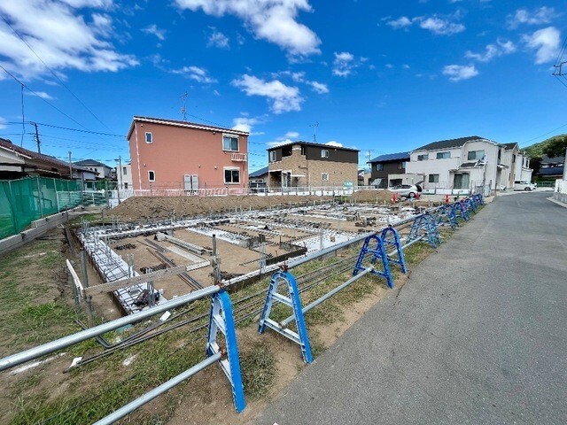 �I�X�X�������ʐ^