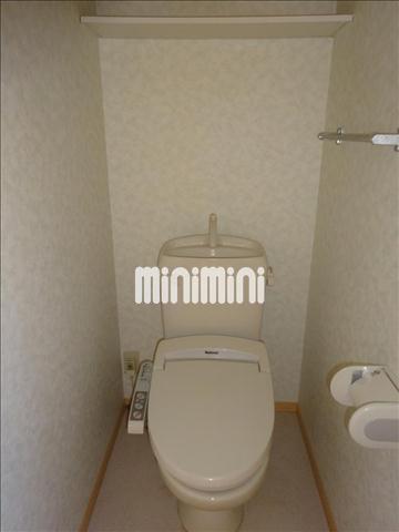 ����5