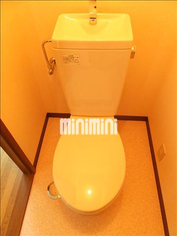 ����5