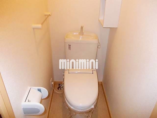 ����5