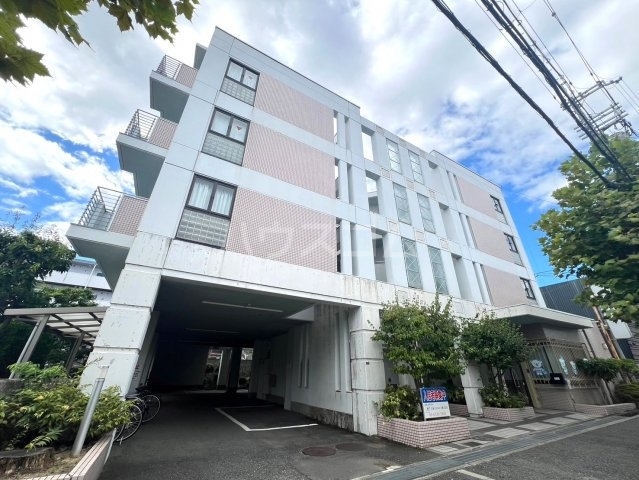 ���{���ʎs���쌴���T���ڂP�q