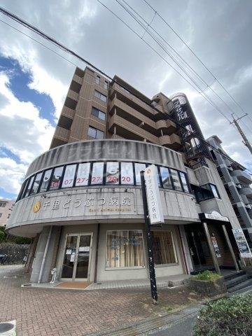 ���{���ʎs�D�ꐼ�R���ڂQ�k�c�j