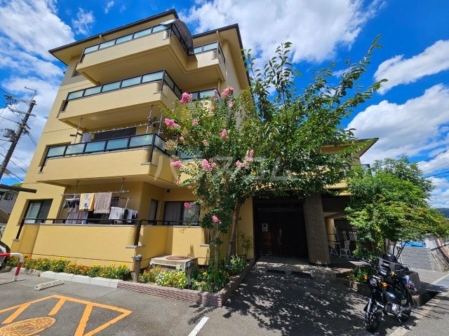 ��}�d�S�痢���@�k�痢�w�i�k��27���j